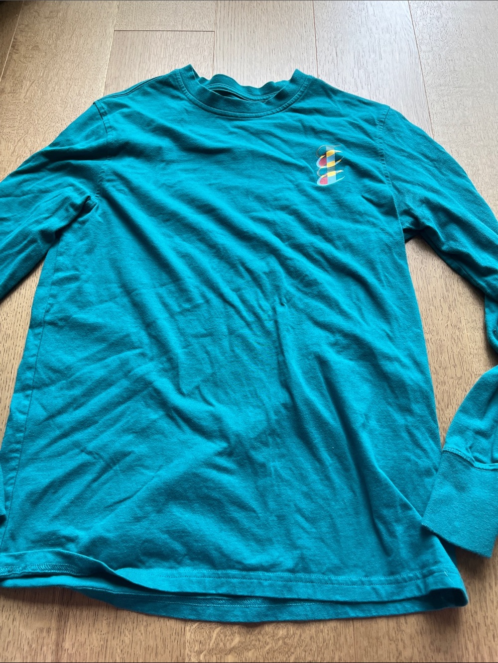 Champion Men’s Teal Long-Sleeve Graphic Tee